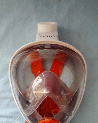 Vollgesichtsmaske mit Virenschutzfilter